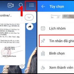 Truy cập vào Bảng tin nhóm bằng cách chọn Tin nhắn đã ghim trong mục Tùy chọn