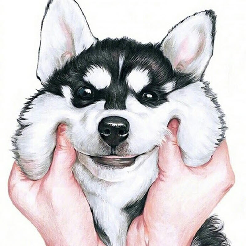 Ảnh đại hiện hình husky đẹp nhất cho zalo