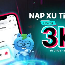 Dùng Zalopay để thanh toán trên Tiktok được không?