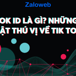 Tik tok id là gì? Đó là câu hỏi đặt ra trong đầu mỗi người