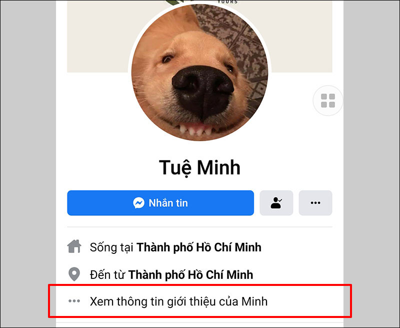 tim-so-dien-thoai-facebook